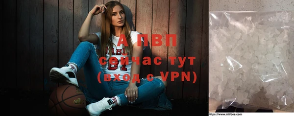 соль ск Надым