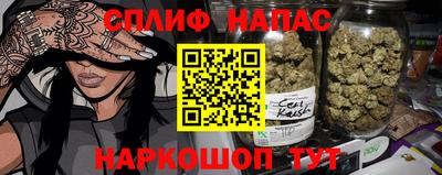 крисы Гусиноозёрск