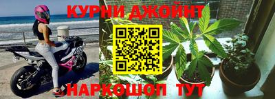 шишки Гусев
