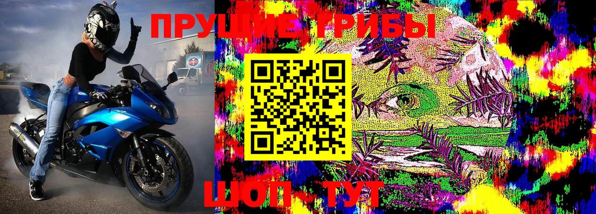 Псилоцибиновые грибы Psilocybe  Псилоцибиновые грибы ЛСД  Вход с VPN  Кандалакша 